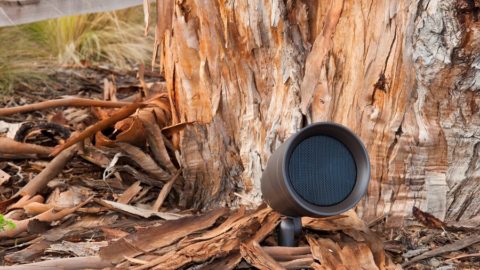 How to Make the Most of an Outdoor Sound System This Fall