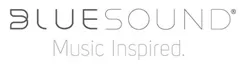 blue sound audio system partner